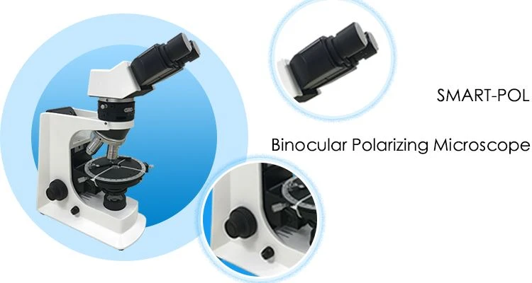 binocular polarizing microscope for sale
