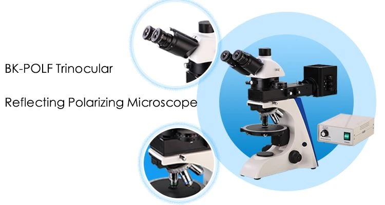 bk-polf Long Working Distance Polarizing Microscope