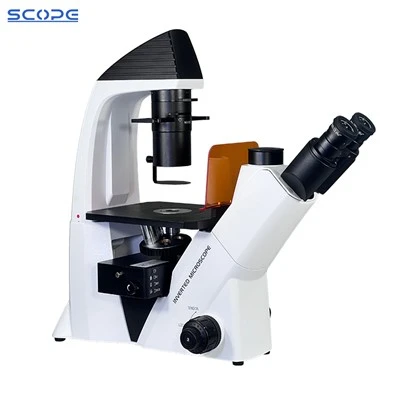 100X-400X Microsgop Fflworoleuedd Gwrthdro ar gyfer Diwylliant Cell