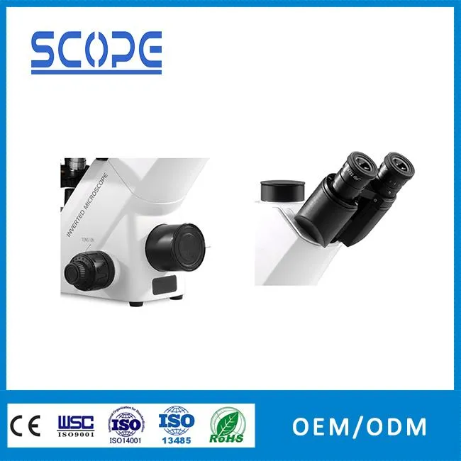 Trinocular LED inverted biological microscope